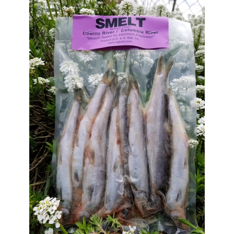 D & G Bait Smelt Fish Bait 7 Count