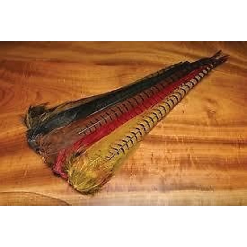 Ringneck Pheasant Tail Clump – Fly Tying