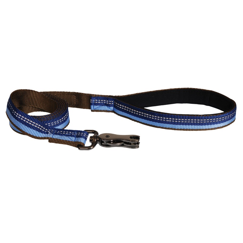 Co36909 1 In. Reflective Leash – Sapphire Blue