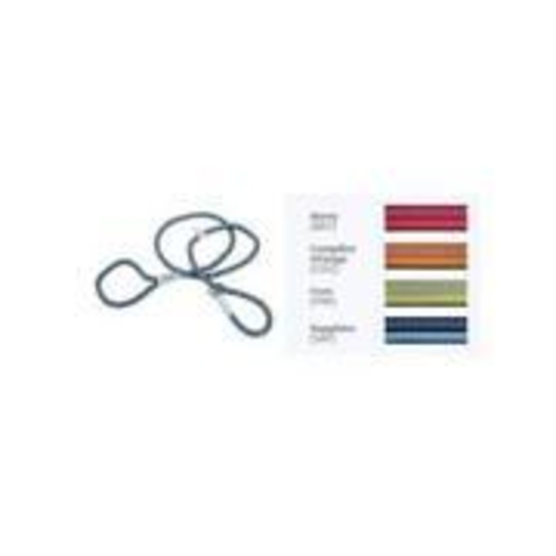 K9 Explorer Braided Rope Reflective Dog Slip Lead Fern 6-Ft Long 1/2-In Wide