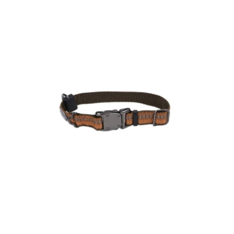 K9 Explorer Reflective Dog Collar Campfire Orange 8 To 12-In Neck 5/8-In Wide