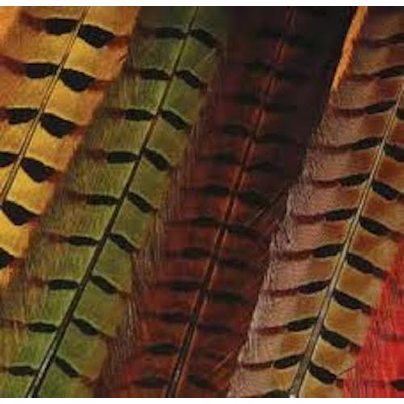 Hareline Ringneck Pheasant Tail Feathers Black – Fly Tying