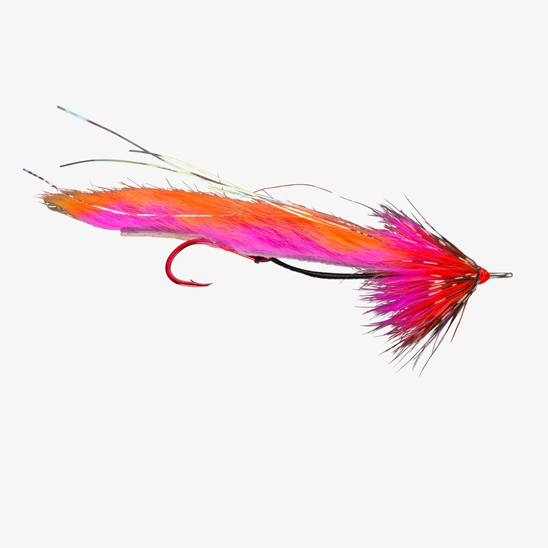 Rio’s String Leech