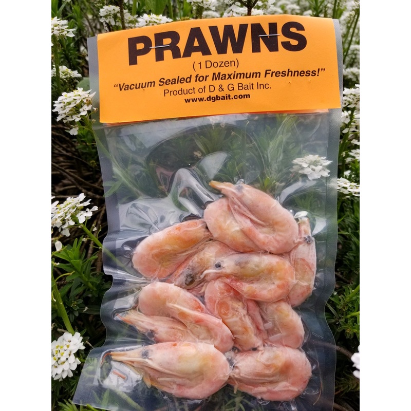 D & G Bait Arctic Prawns Vacuum Packed Fish Bait 12 Count