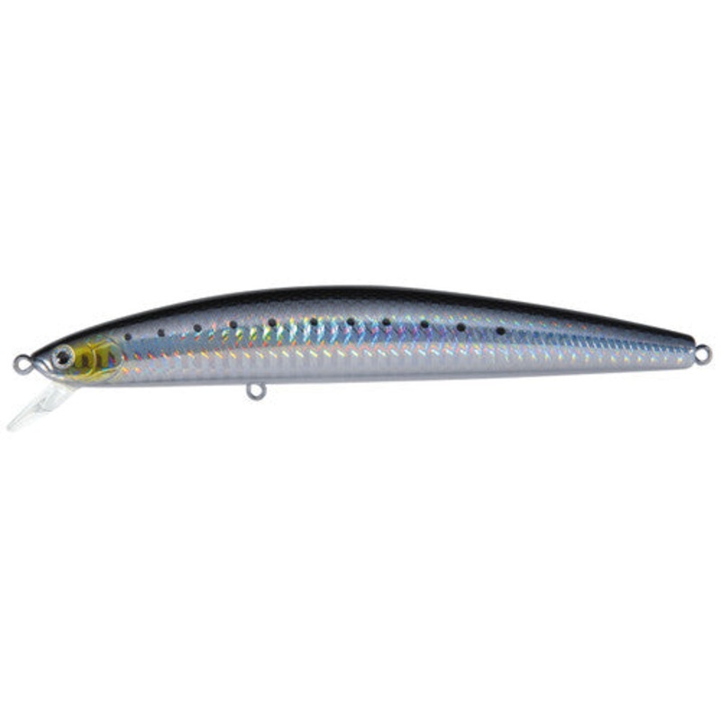 Daiwa SaLT Pro Minnow – 6In Floating – Laser Sardine