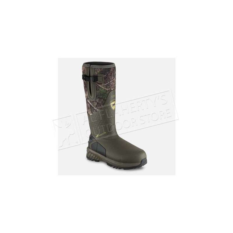 Irish Setter 17