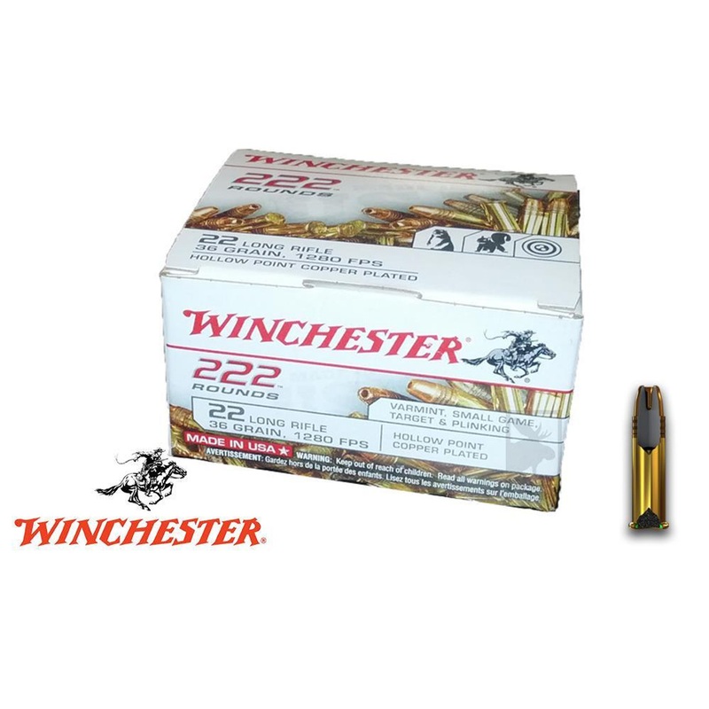 Winchester 222 Value Pack .22LR, 222 Rounds 36-Grain Jacketed Hollow-Point #22LR222HP
