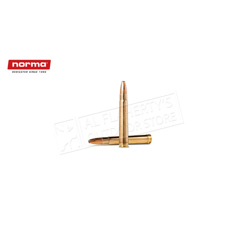 Norma Oryx .375 Holland and Holland Magnum 300gr #20195202