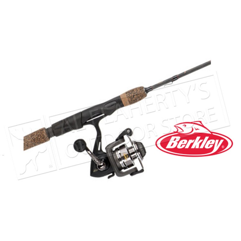 Berkley Lighting Spinning Combo 6’6